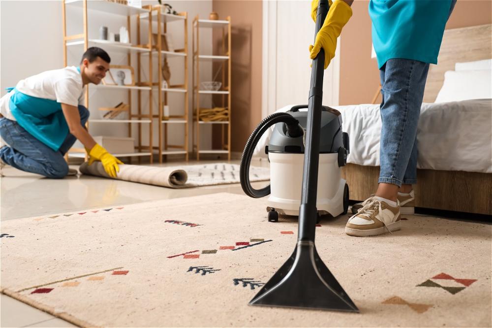 NEW CLEANER PROS DU NETTOYAGE
